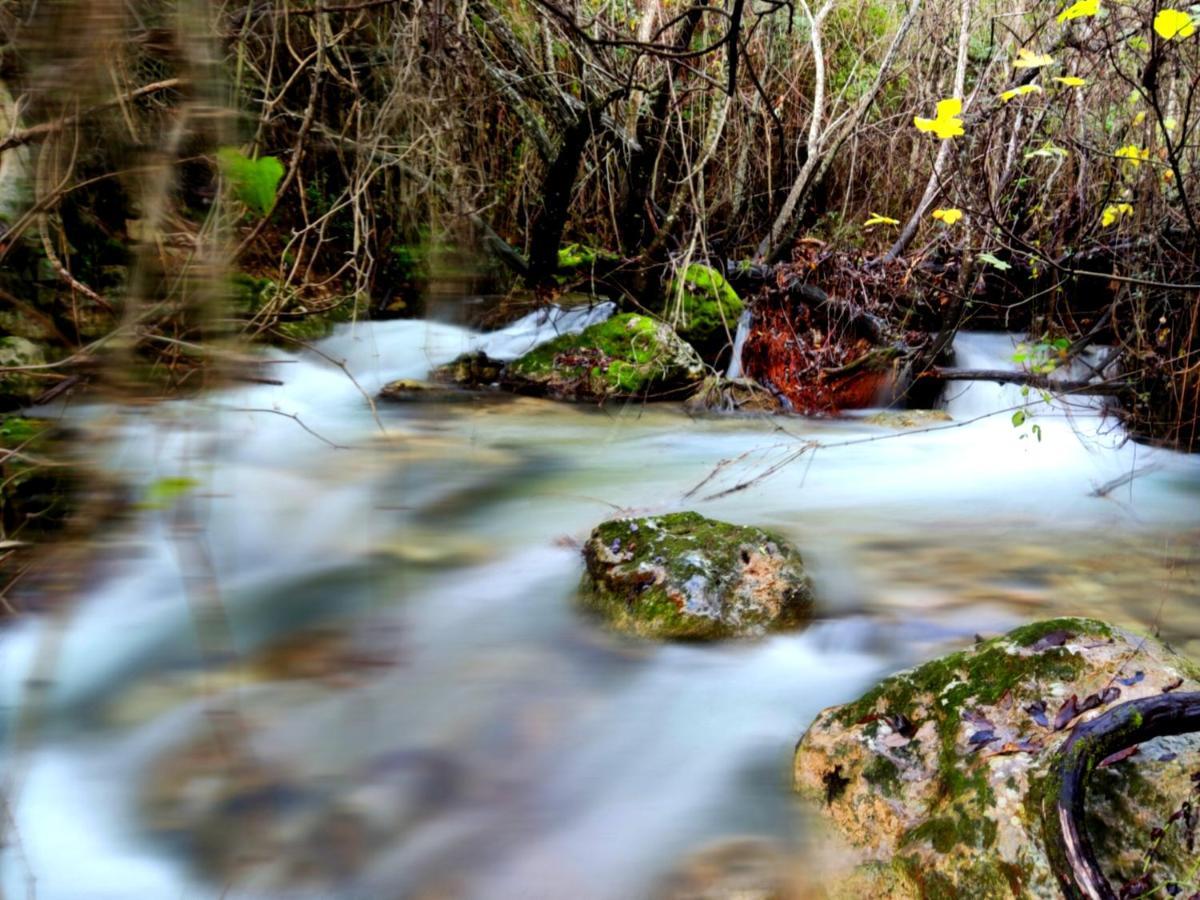 La Casa Del Naturalista El Bosque Buitenkant foto