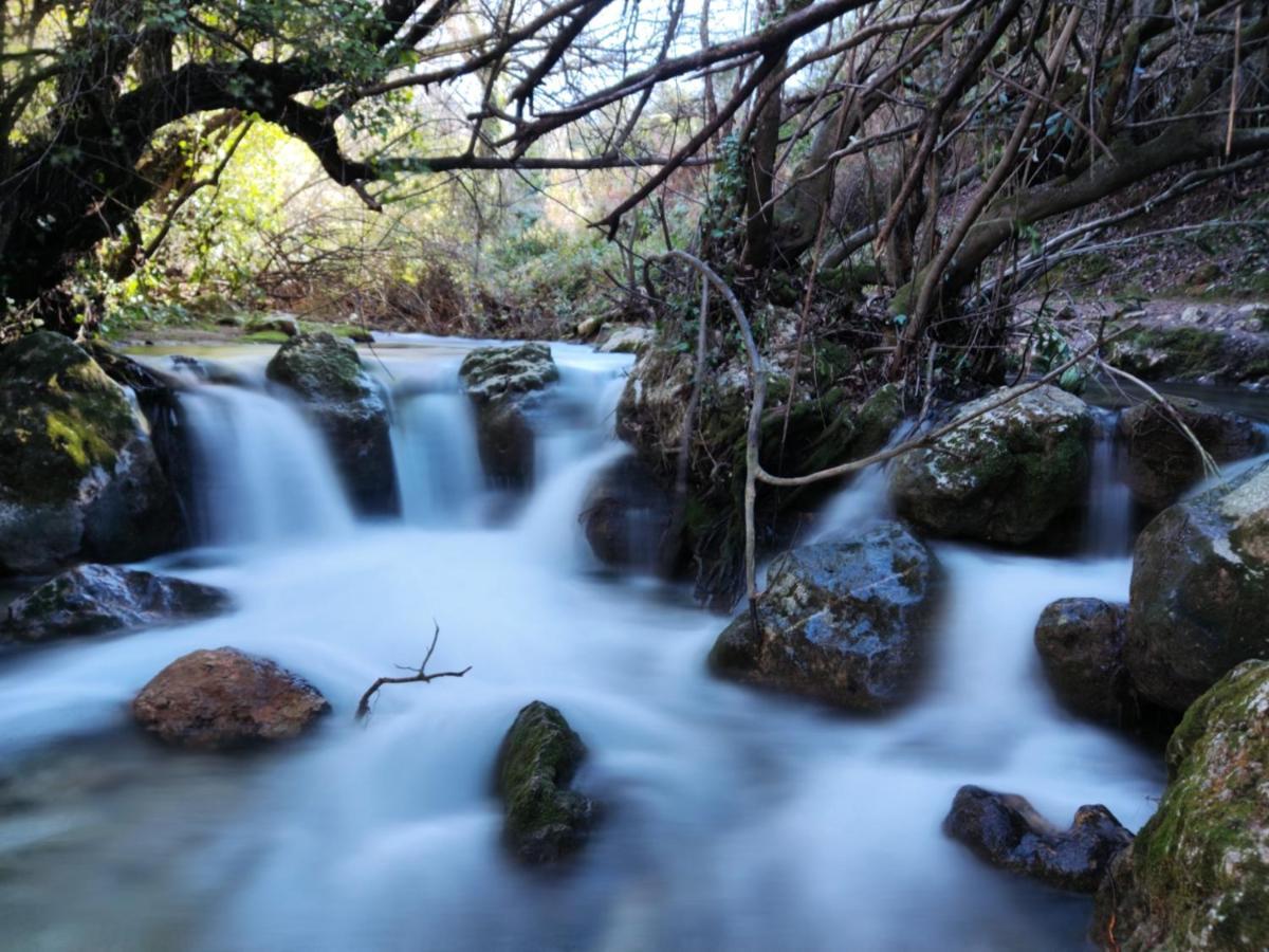 La Casa Del Naturalista El Bosque Buitenkant foto