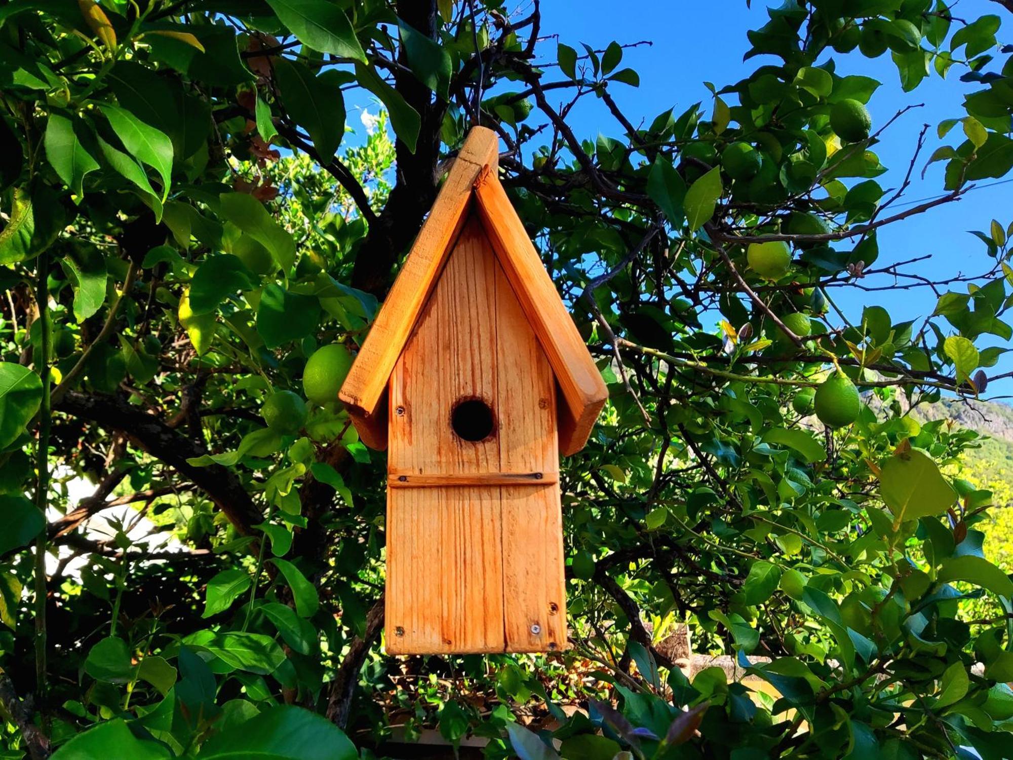 La Casa Del Naturalista El Bosque Buitenkant foto